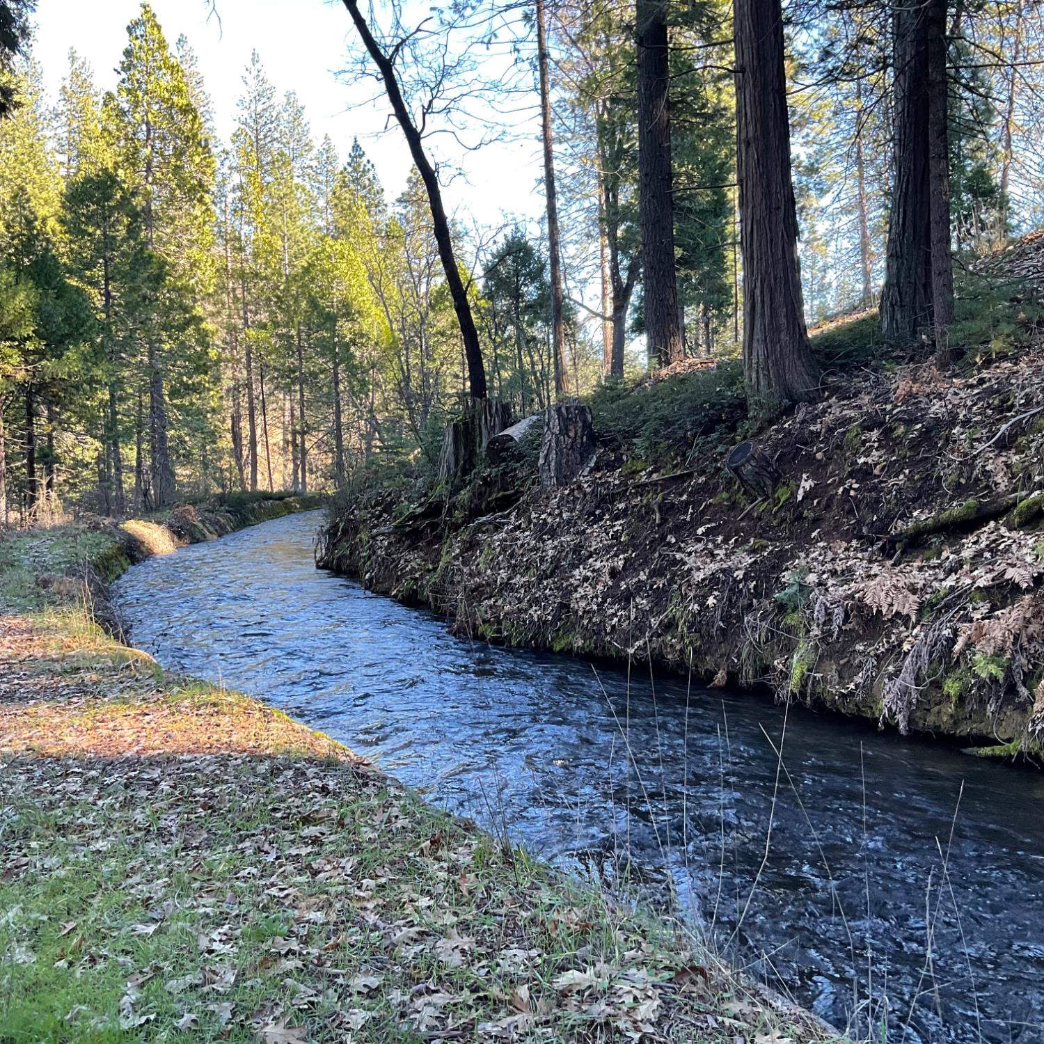 369 Canyon View Drive Murphys, CA 95247 - Photo 2 of 5