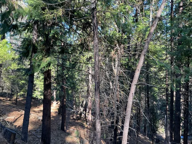 $69,900 | 369 Canyon View Drive, Murphys, CA 95247