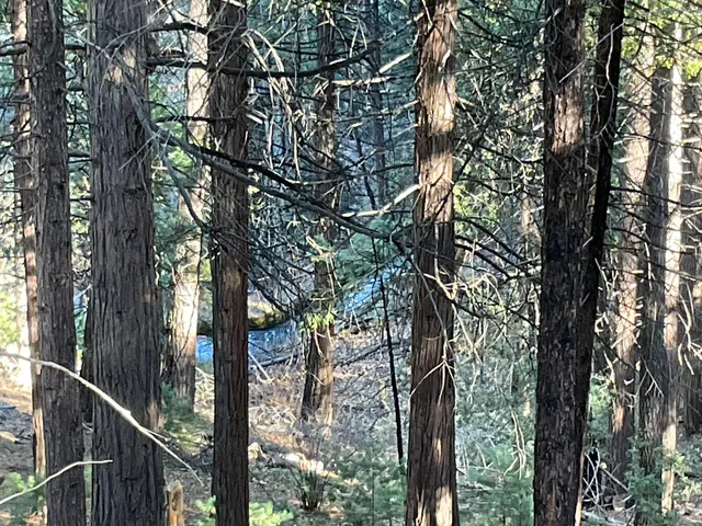 $69,900 | 369 Canyon View Drive, Murphys, CA 95247