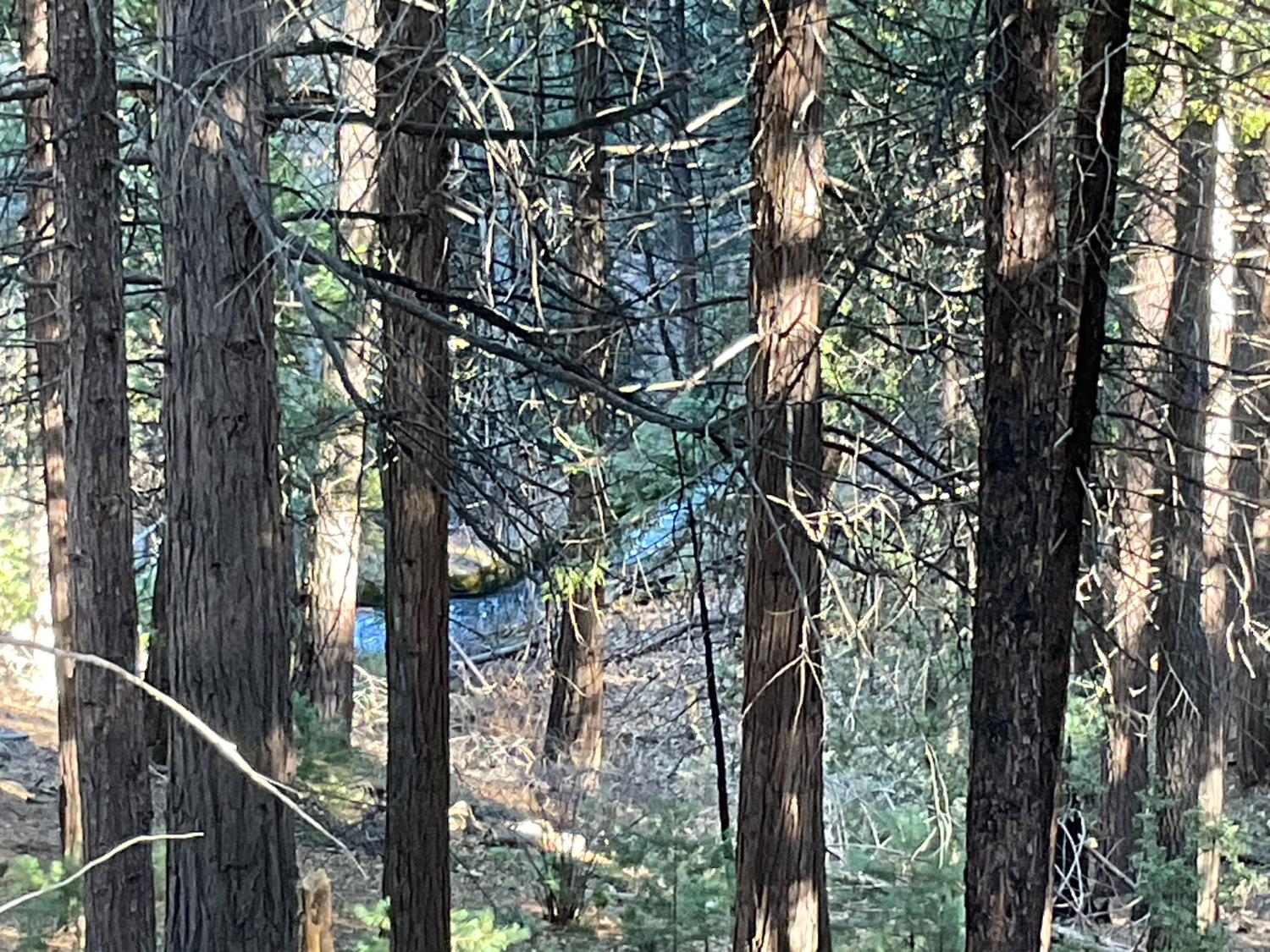 369 Canyon View Drive Murphys, CA 95247 - Photo 5 of 5