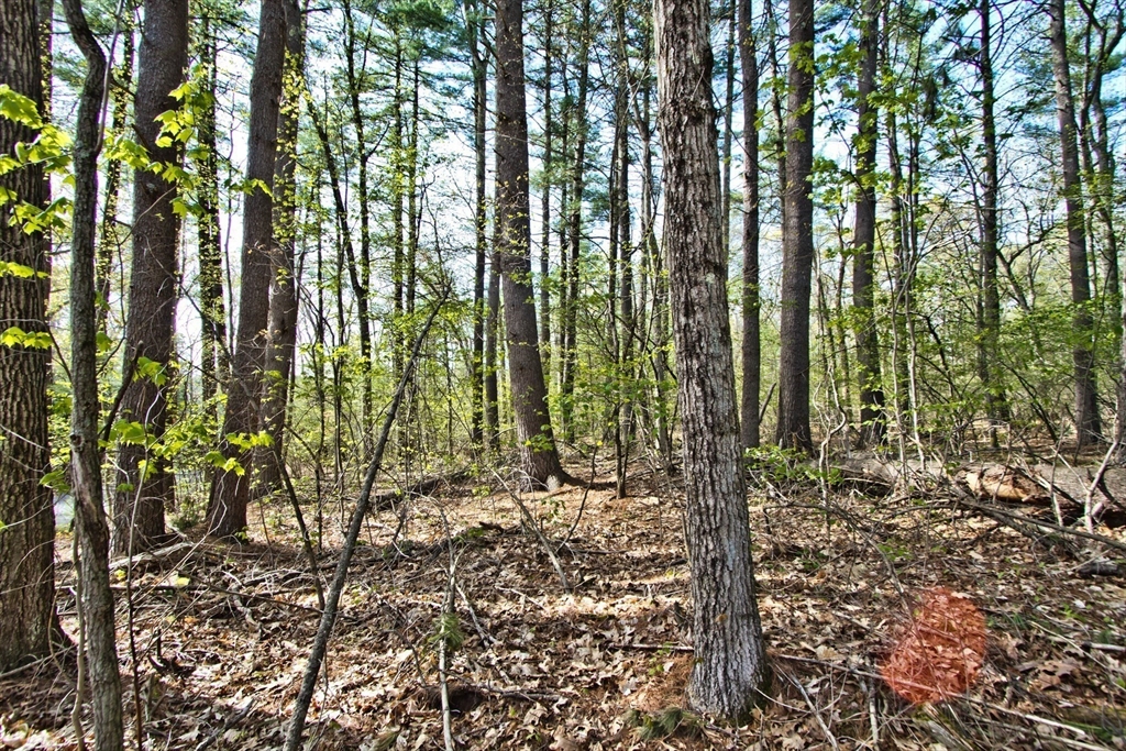 Lot B Kiwanis Beach Road Upton, MA 01568 - Photo 3 of 10 Gallery Image 3