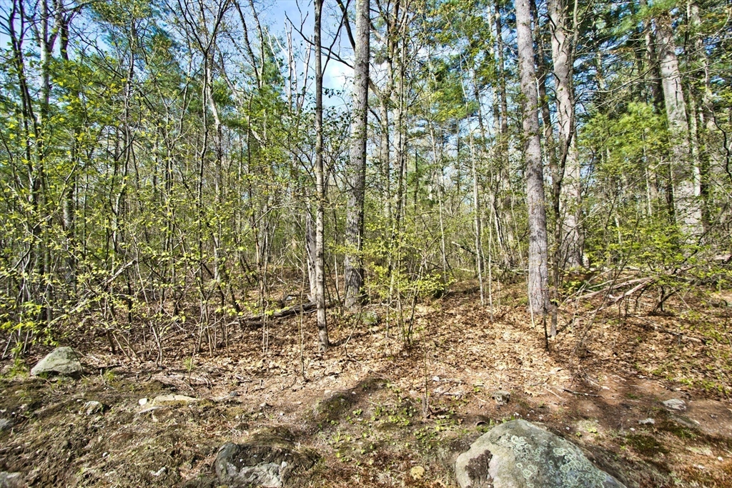 Lot B Kiwanis Beach Road Upton, MA 01568 - Photo 6 of 10 Gallery Image 6