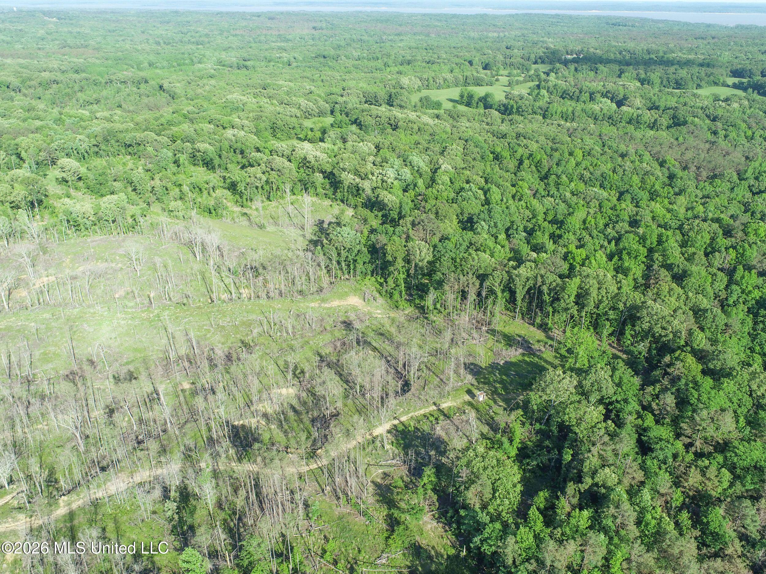 Wayne Massie Road Como, MS 38619 - Photo 38 of 184 3ctwmrd23
