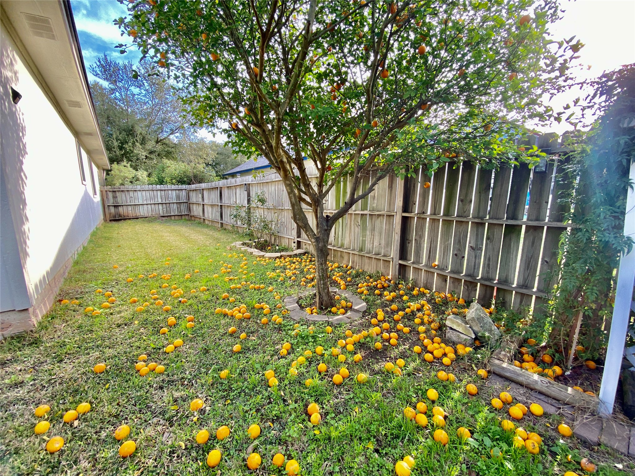 140 Llama Loop Kyle, TX 78640 - Photo 32 of 35