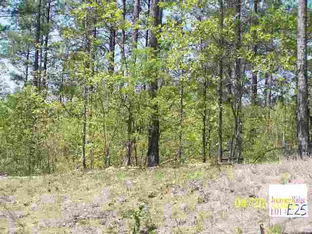 E-25 Jocassee Ridge Way Salem, SC 29676 - Photo 1 of 4 Gallery Image 1