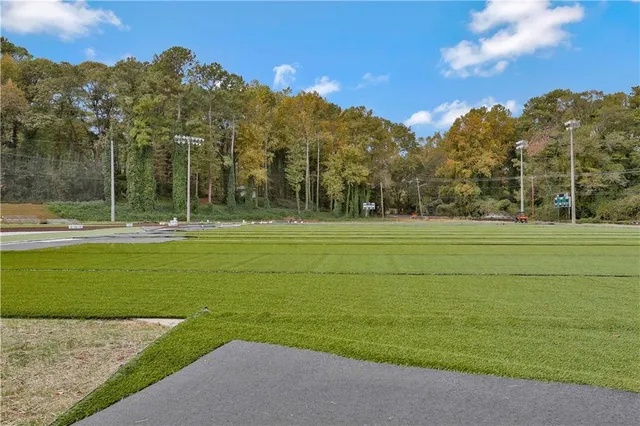 a view of a field with a tree