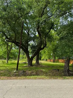 a view of a yard with a tree