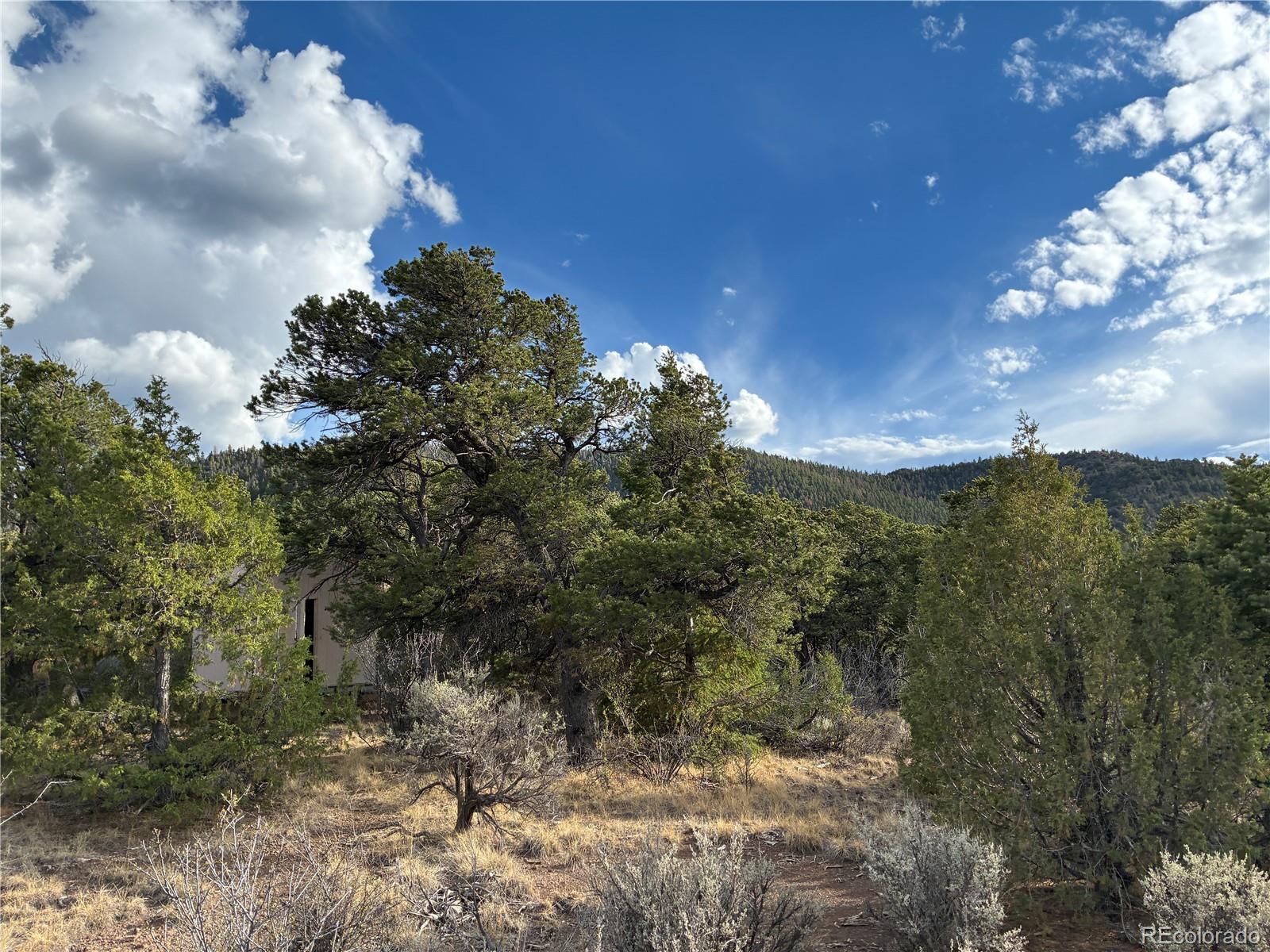 5-ac 5-ac Kermit Road Fort Garland, CO 81133 - Photo 14 of 21 Gallery Image 14