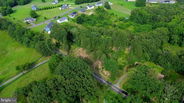 a view of a garden with plants