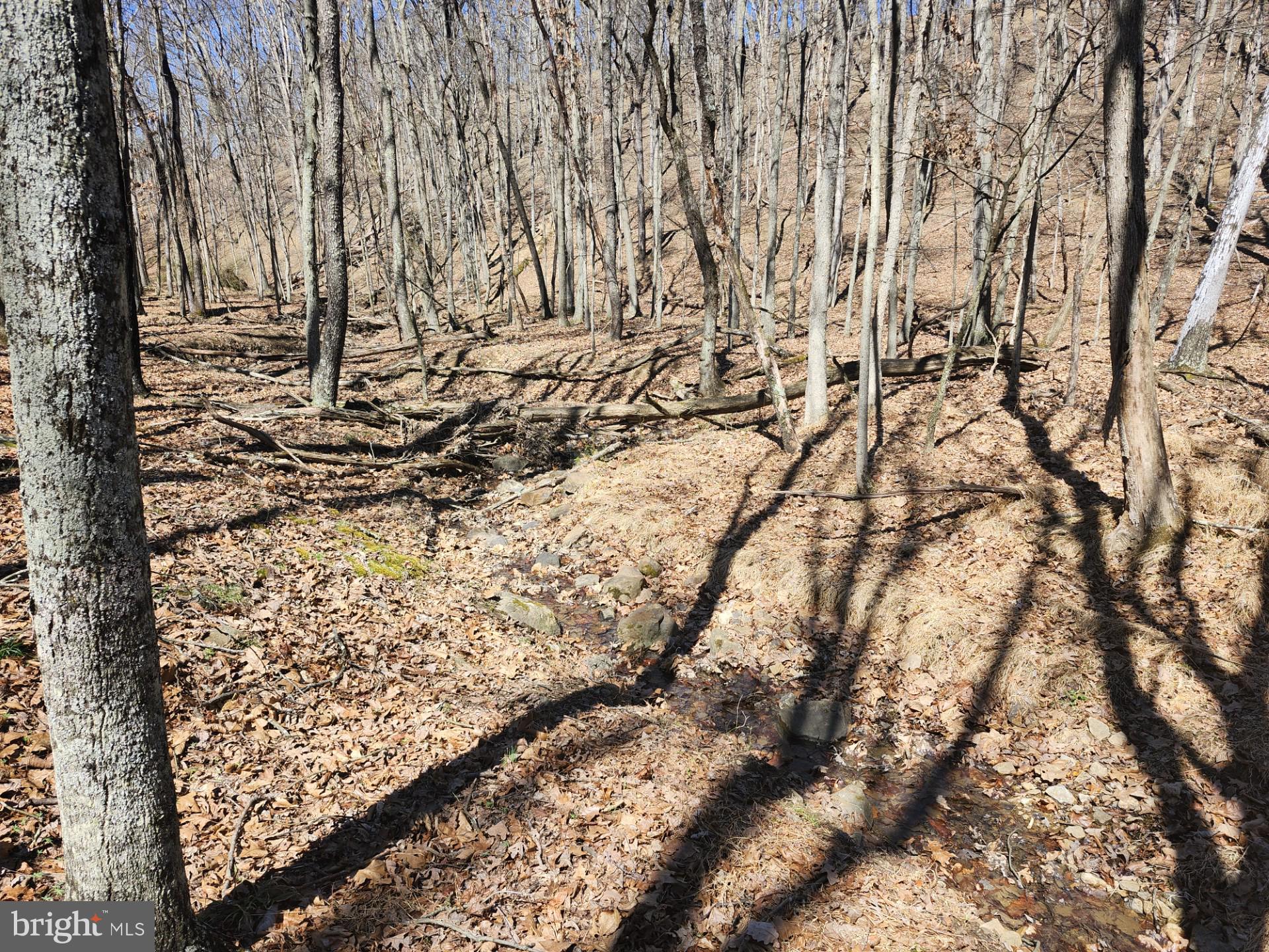 A J Kelley Road Old Fields, WV 26845 - Photo 31 of 65