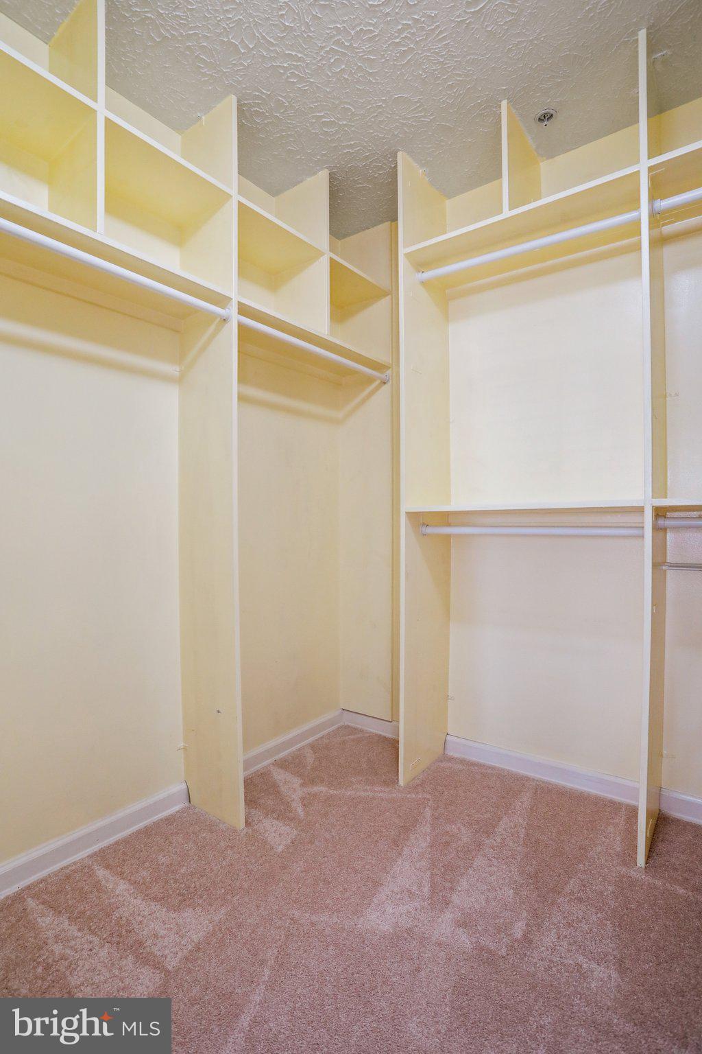 2445 Blue Spring Court, Unit 101 Odenton, MD 21113 - Photo 11 of 45 Walk In Closet