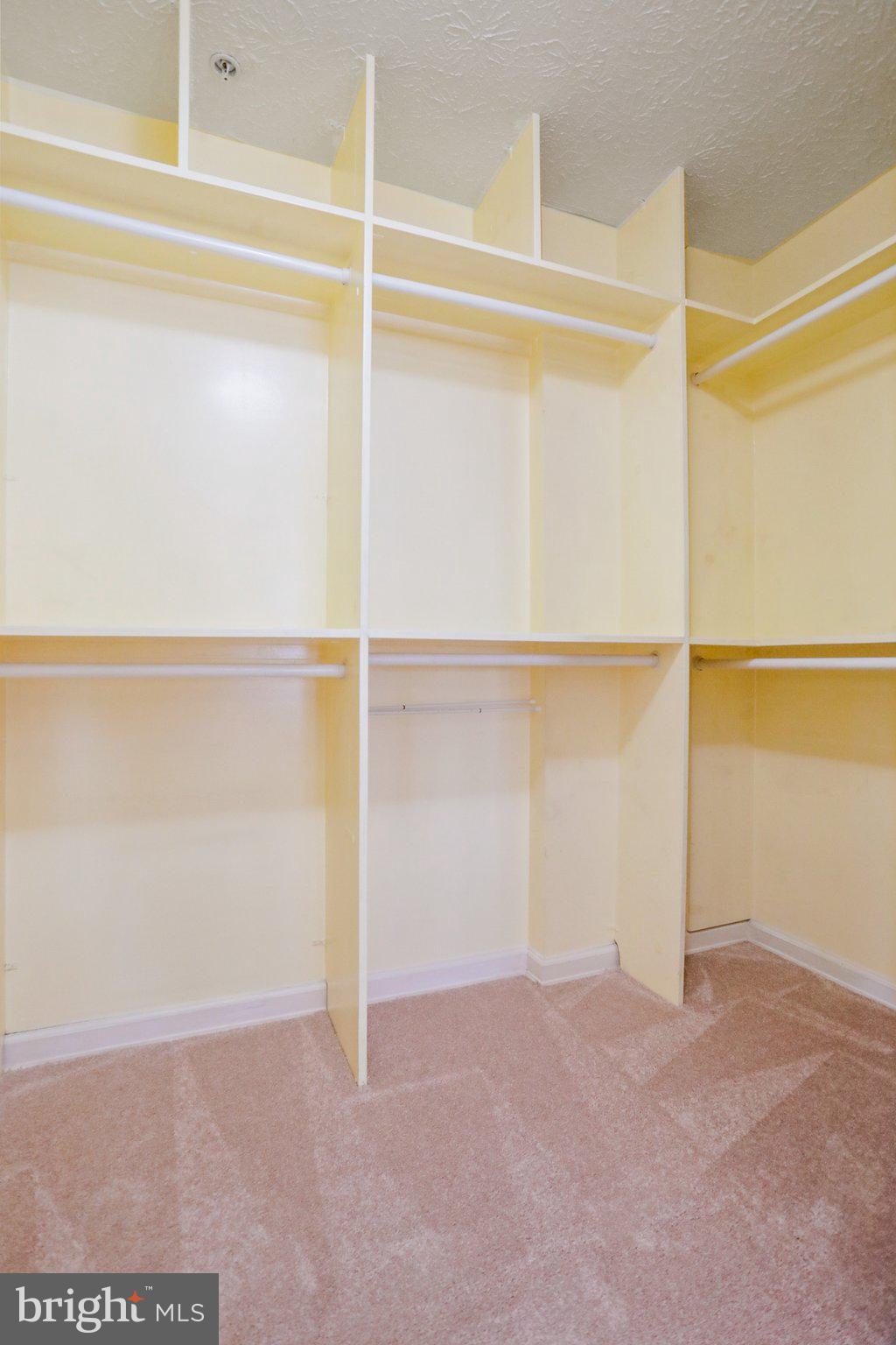 2445 Blue Spring Court, Unit 101 Odenton, MD 21113 - Photo 12 of 45 Walk In Closet