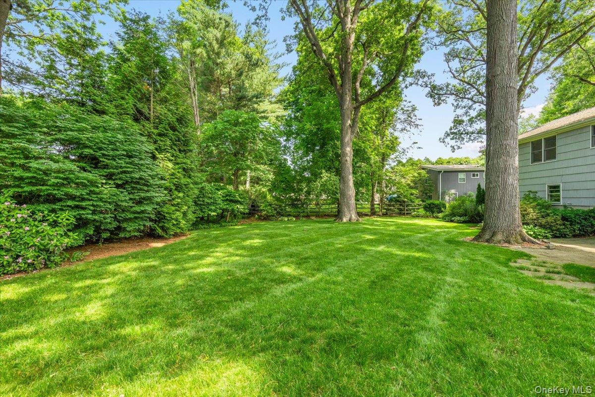 22 Paddock Road Rye Brook, NY 10573 - Photo 18 of 21