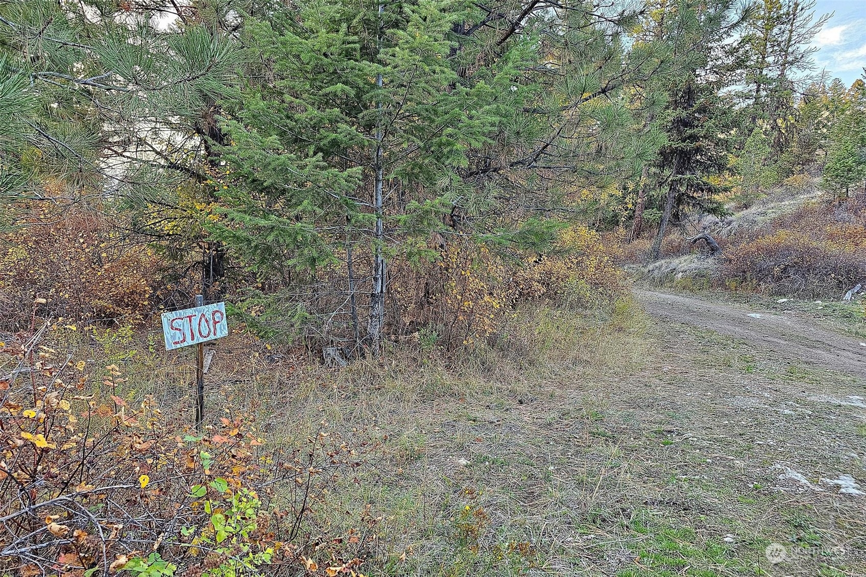 0 Otis Road Malo, WA 99150 - Photo 30 of 39 Gallery Image 30