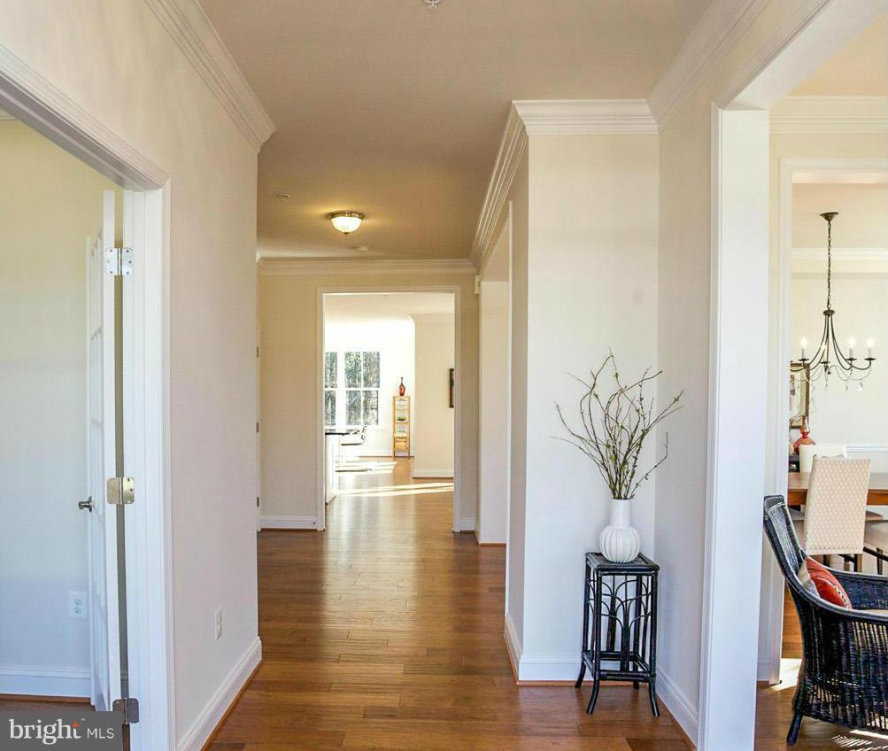 12504 Regwood Road Hydes, MD 21082 - Photo 8 of 28 a view of hallway with livingroom and wooden floor