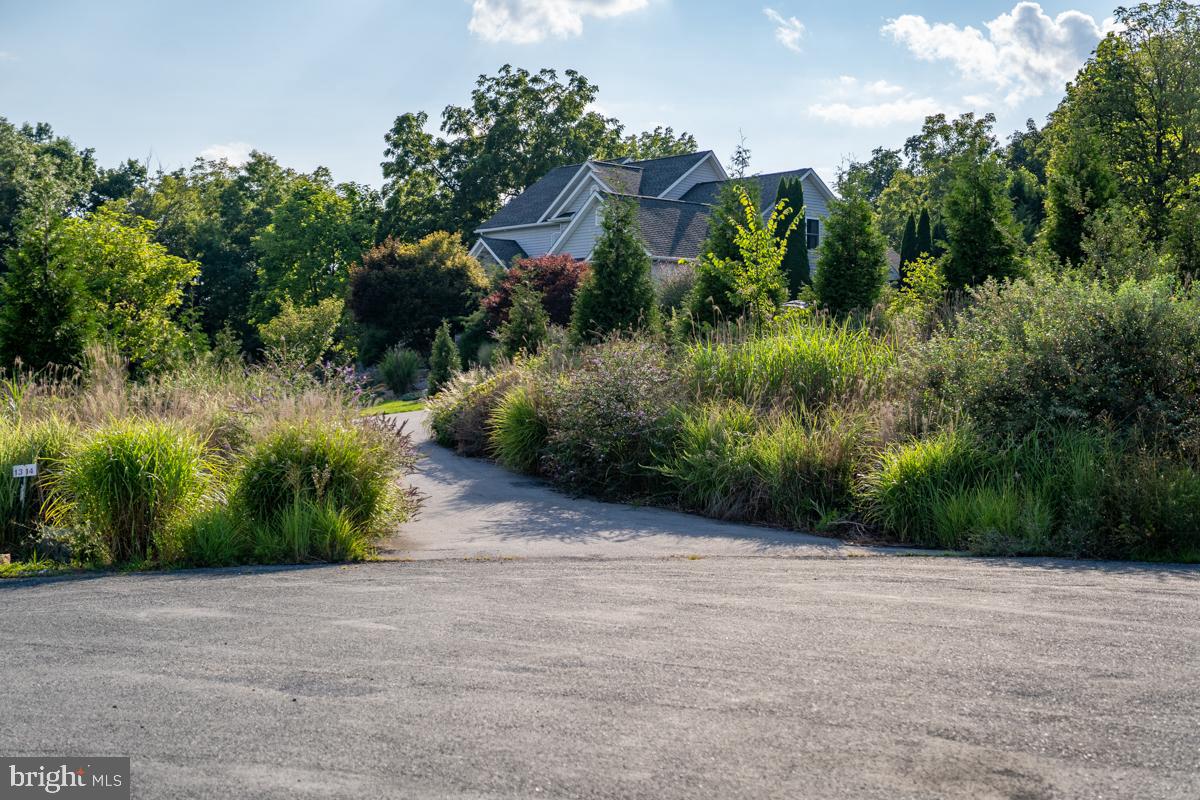 190 Ridgemore Drive Raphine, VA 24472 - Photo 54 of 95 Gallery Image 54