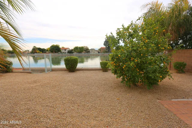 a view of a garden with plants