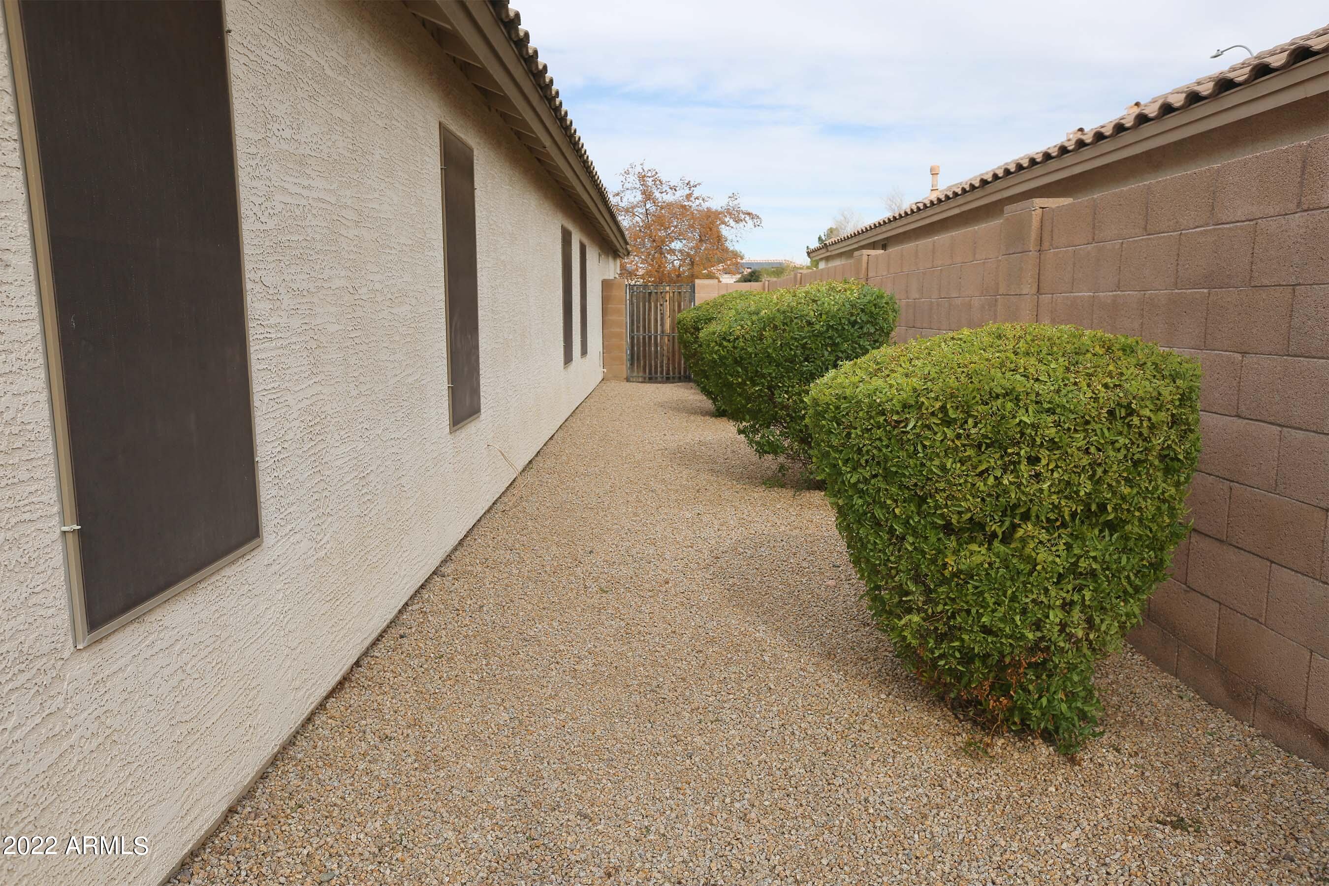 11217 West Edgemont Avenue Avondale, AZ 85392 - Photo 35 of 47 a view of a garden