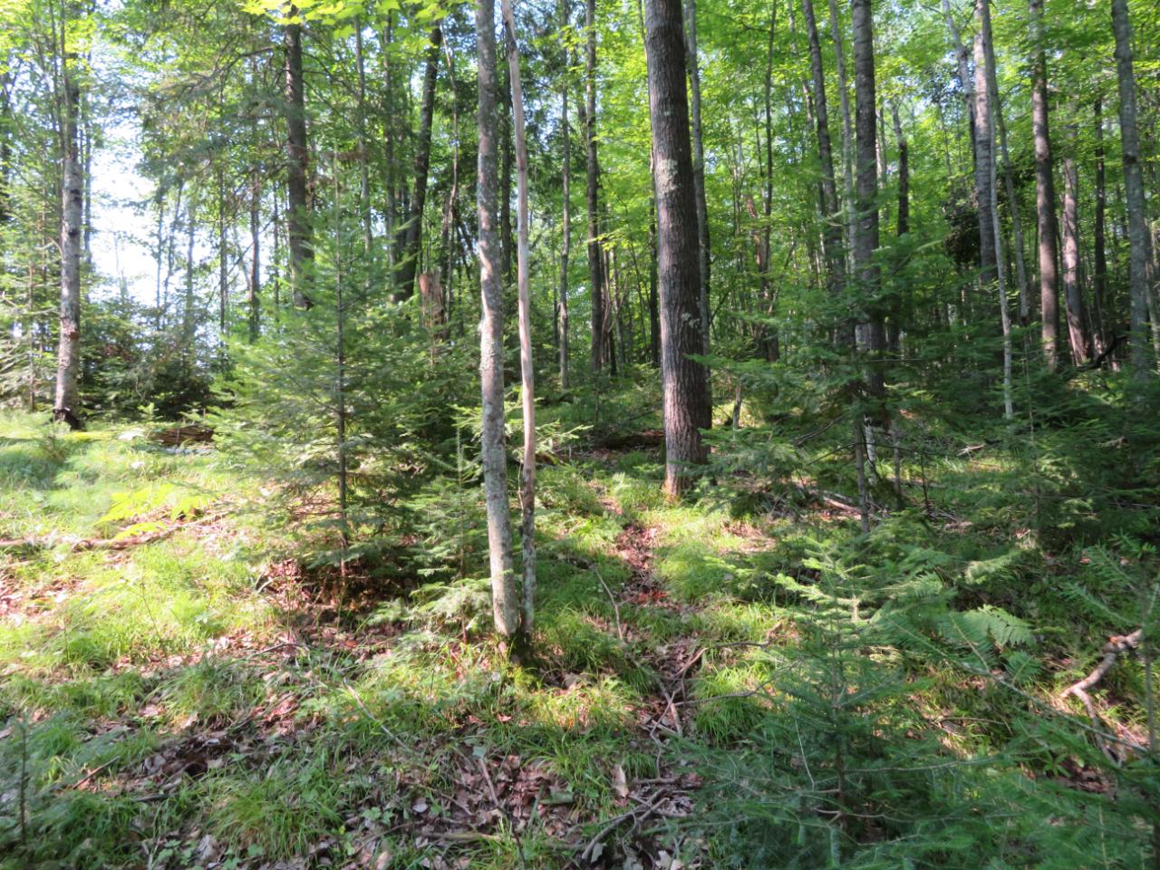 On Garrett's Trail, Unit LOT 32 Rhinelander, WI 54501 - Photo 1 of 16 Gallery Image 1