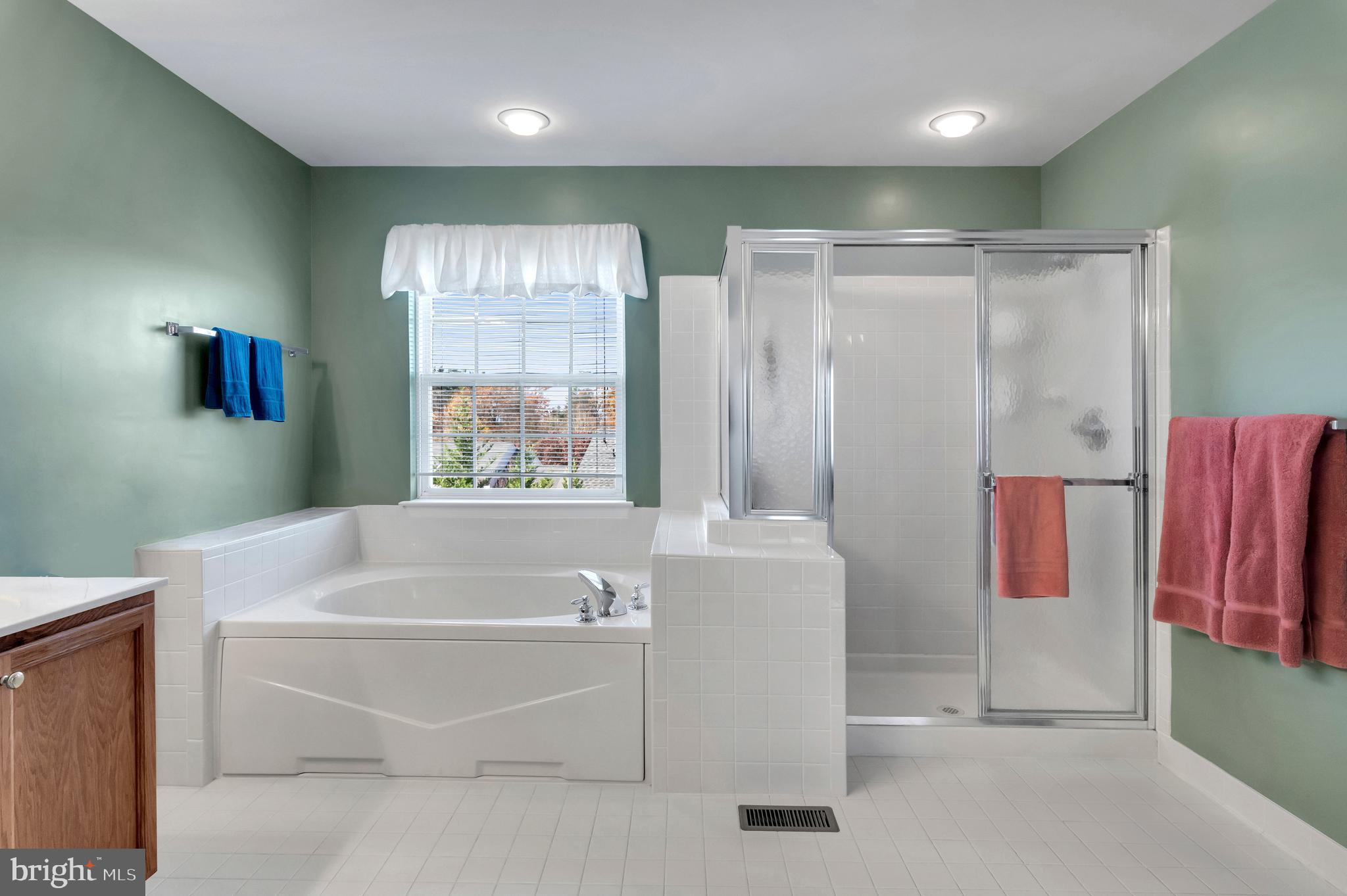 5720 Little Spring Way Frederick, MD 21704 - Photo 35 of 63 Primary Bathroom Jacuzzi/Shower.