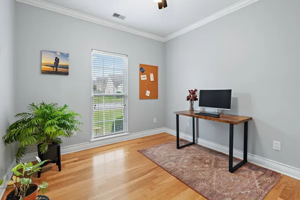 a living room with furniture and a potted plant
