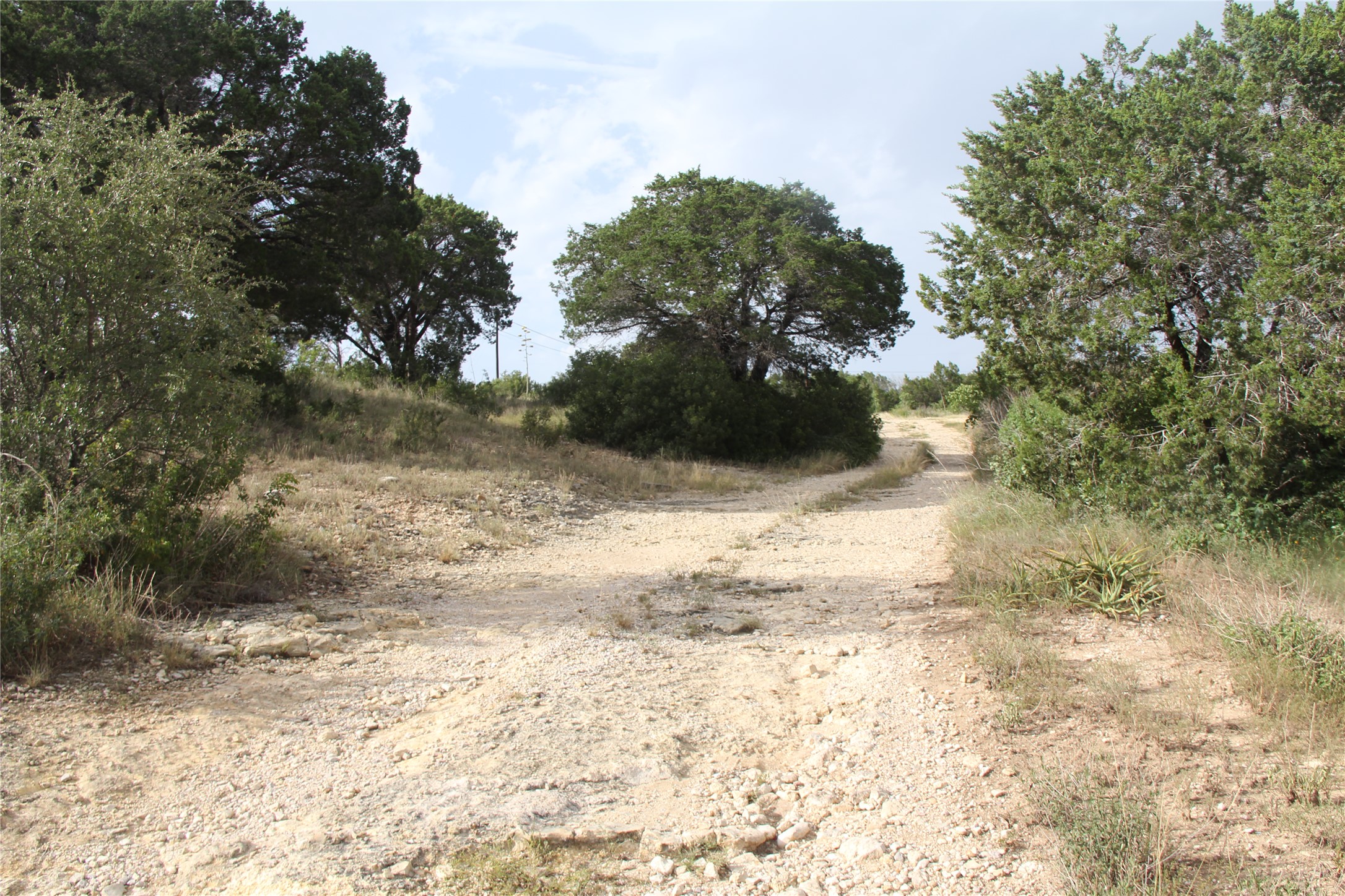 4715 Eck Lane Austin, TX 78734 - Photo 19 of 19 a view of a yard with a tree