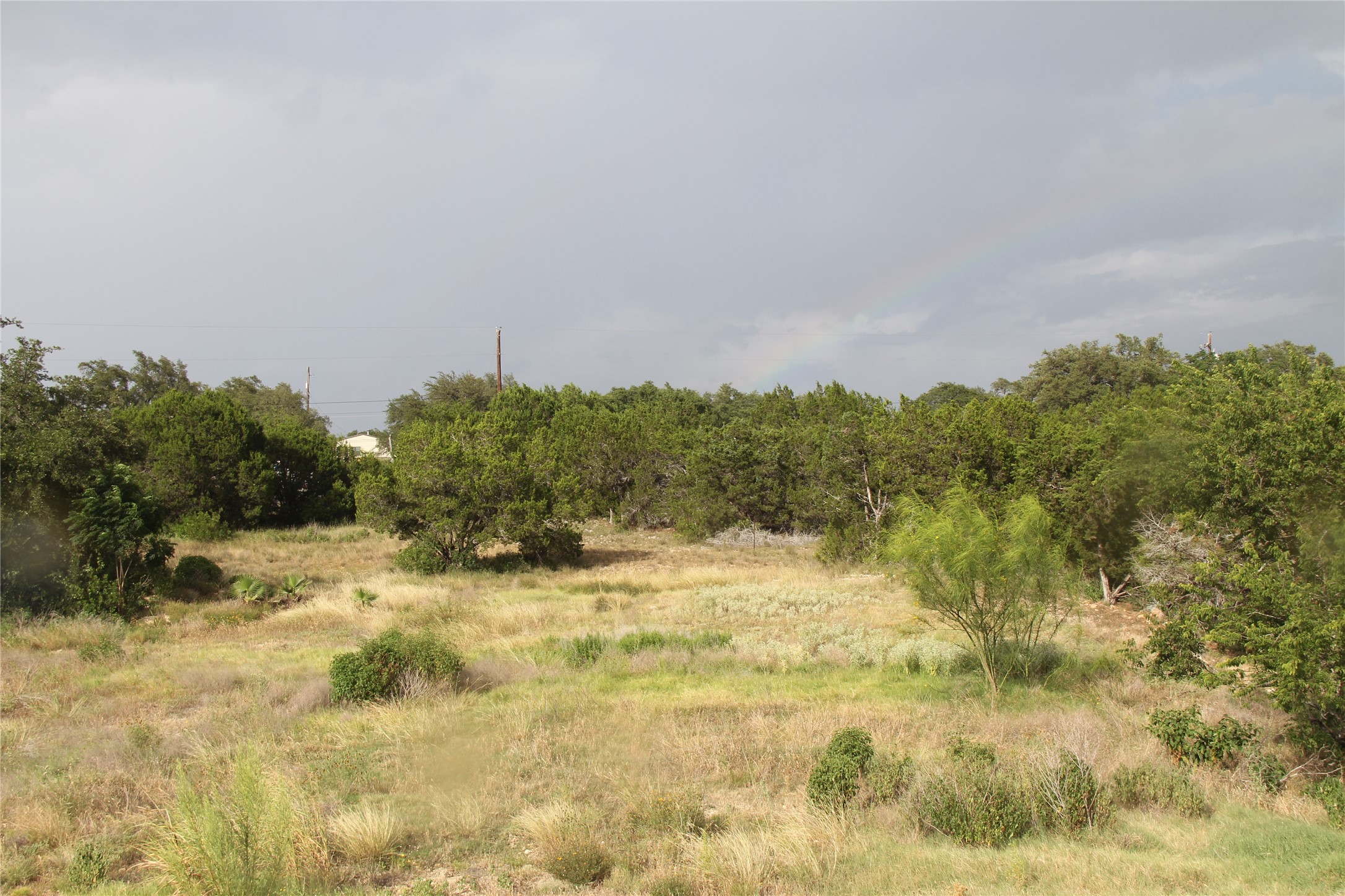 4715 Eck Lane Austin, TX 78734 - Photo 8 of 19 a view of a yard and mountain view