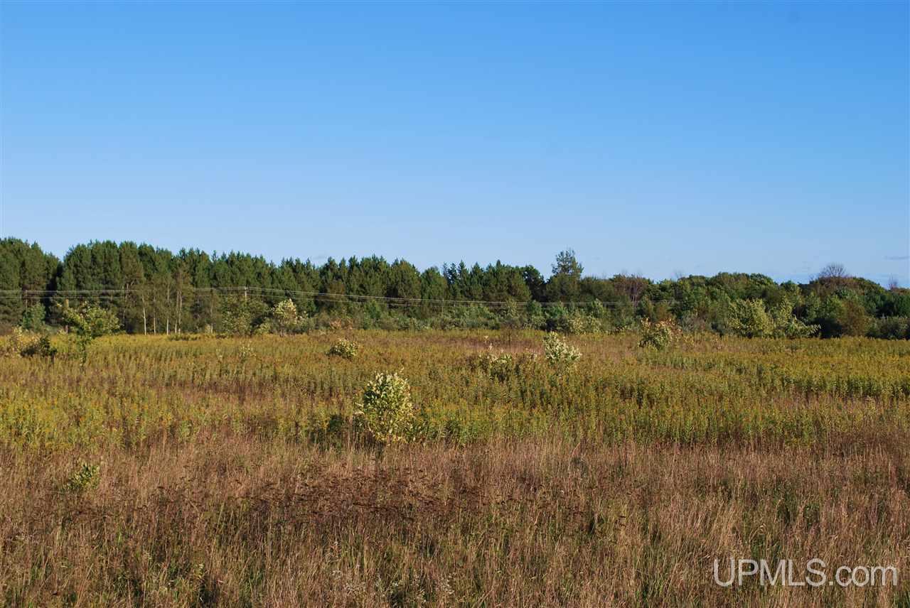 Tbd Golf Course Road Calumet, MI 49913 - Photo 7 of 34