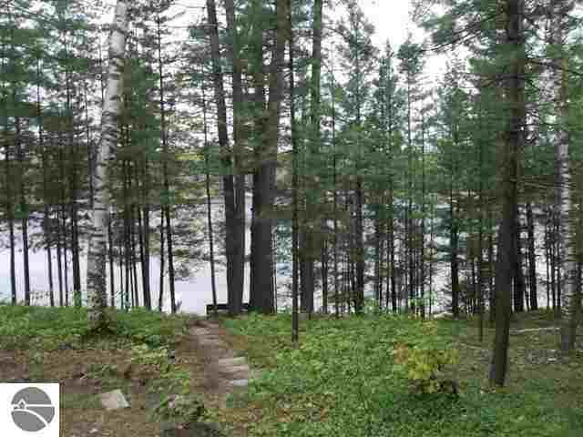 8701 Gedman Road Mancelona, MI 49659 - Photo 5 of 25 1746381-4.JPG