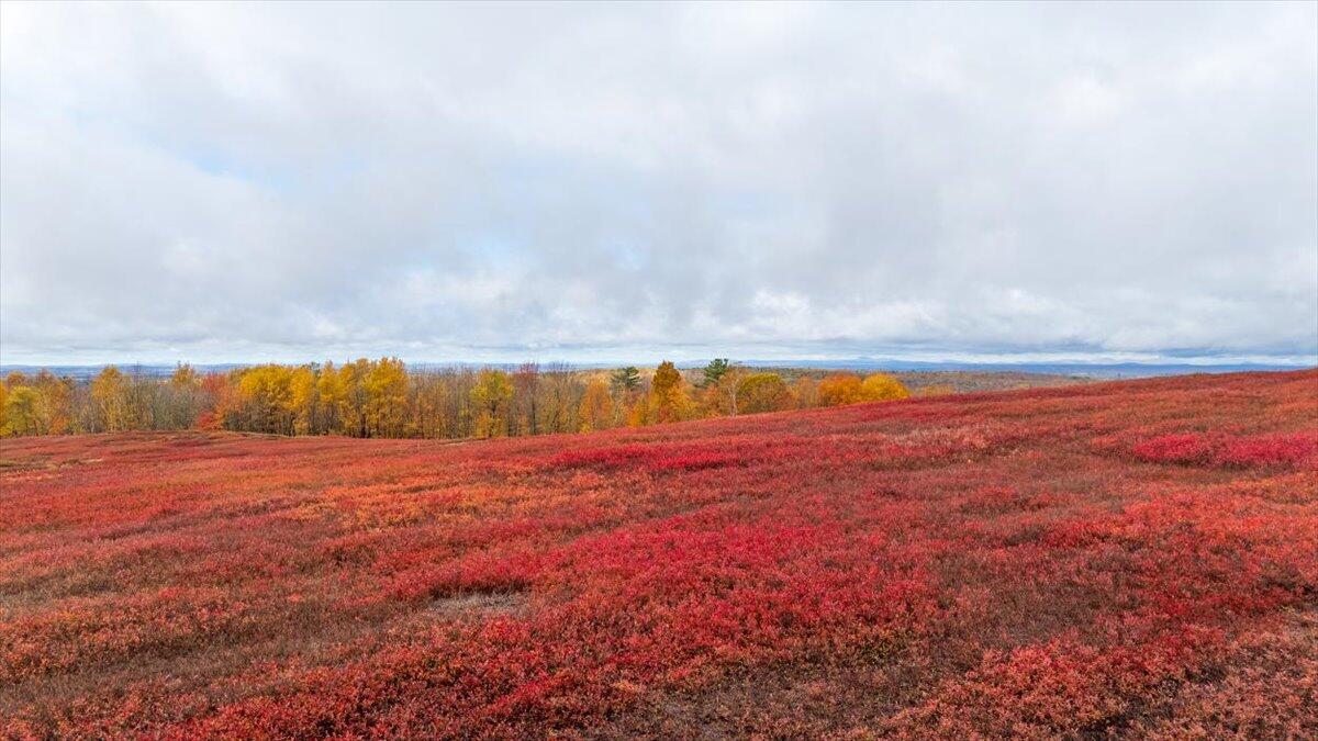 1490 Parmenter Road, Palermo