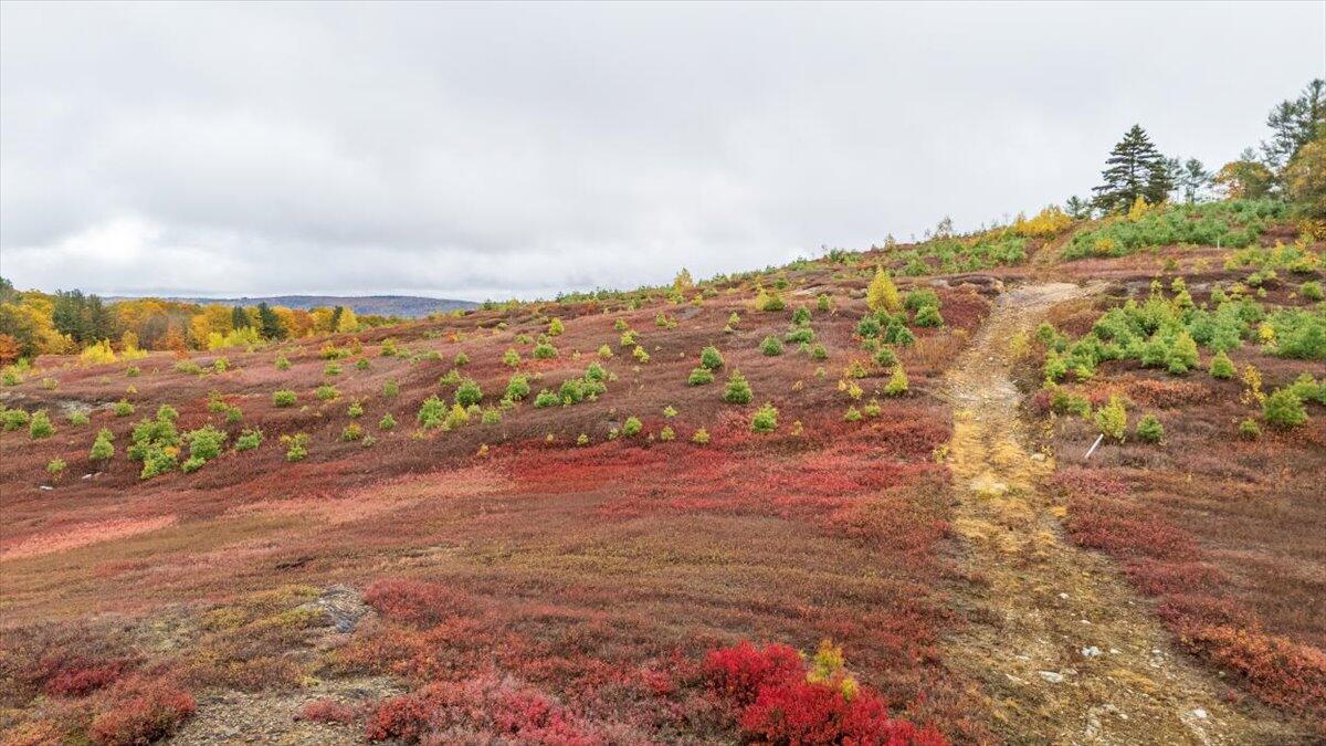 1490 Parmenter Road Palermo, ME 04354 - Photo 11 of 20 1490 Parmenter Road, Palermo