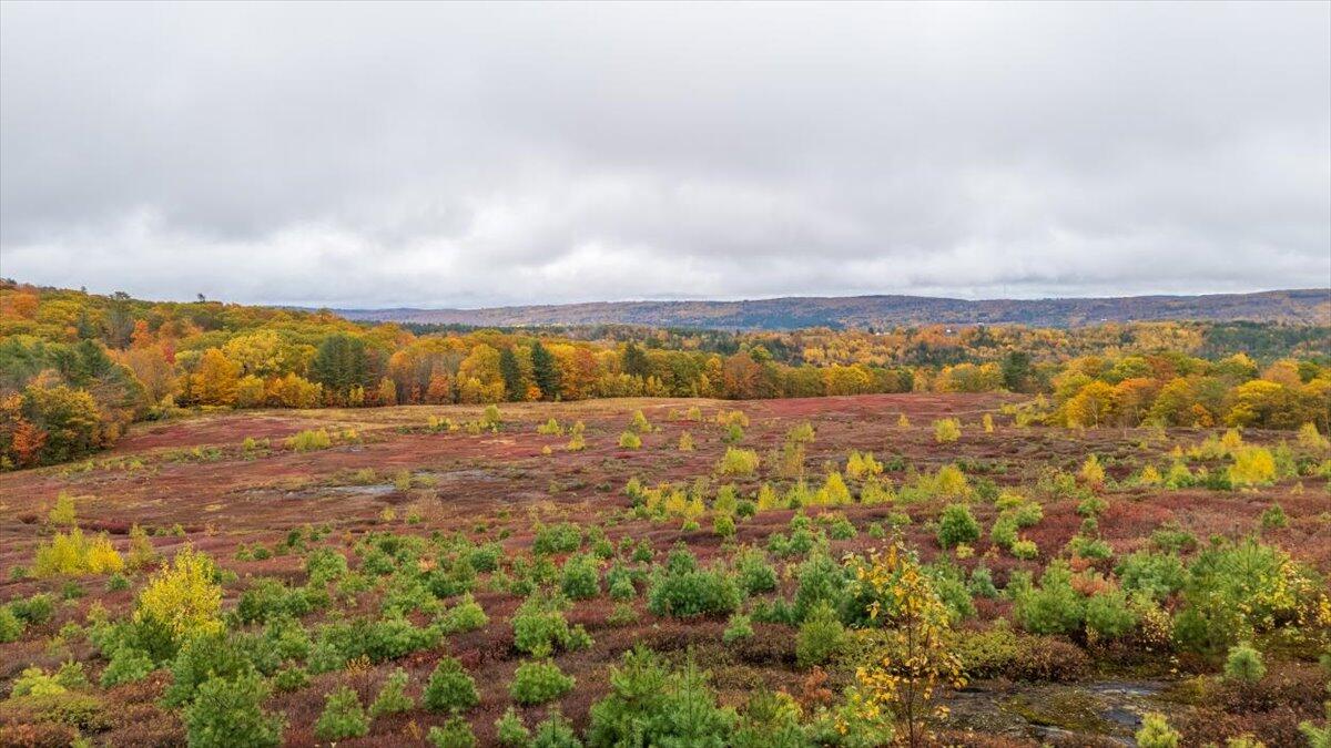 1490 Parmenter Road Palermo, ME 04354 - Photo 12 of 20 1490 Parmenter Road, Palermo