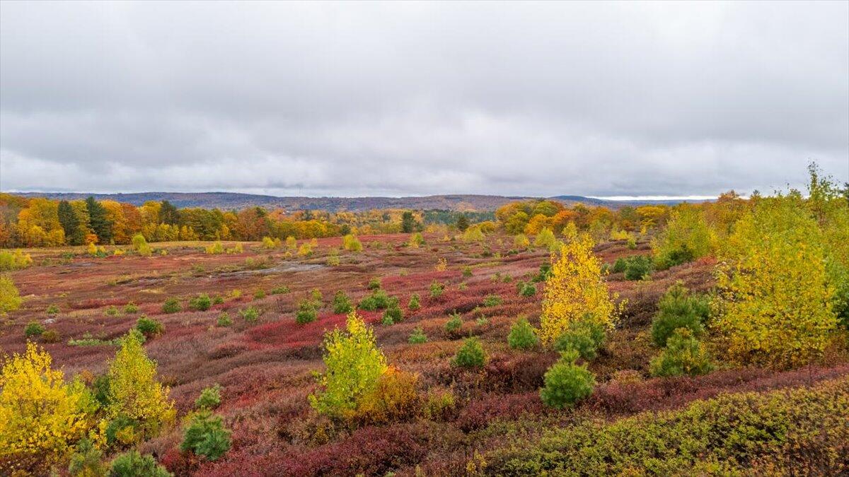 1490 Parmenter Road Palermo, ME 04354 - Photo 15 of 20 1490 Parmenter Road, Palermo