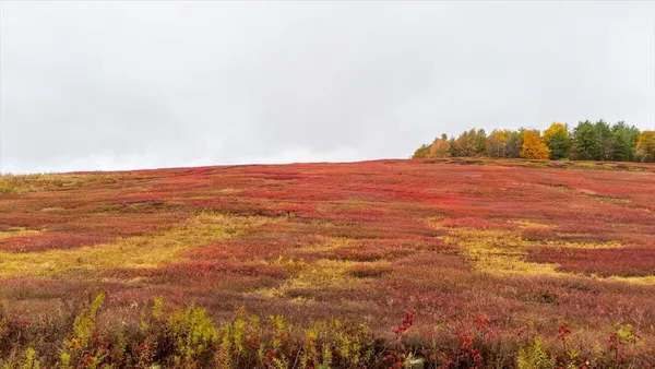 $679,000 | 1490 Parmenter Road, Palermo, ME 04354