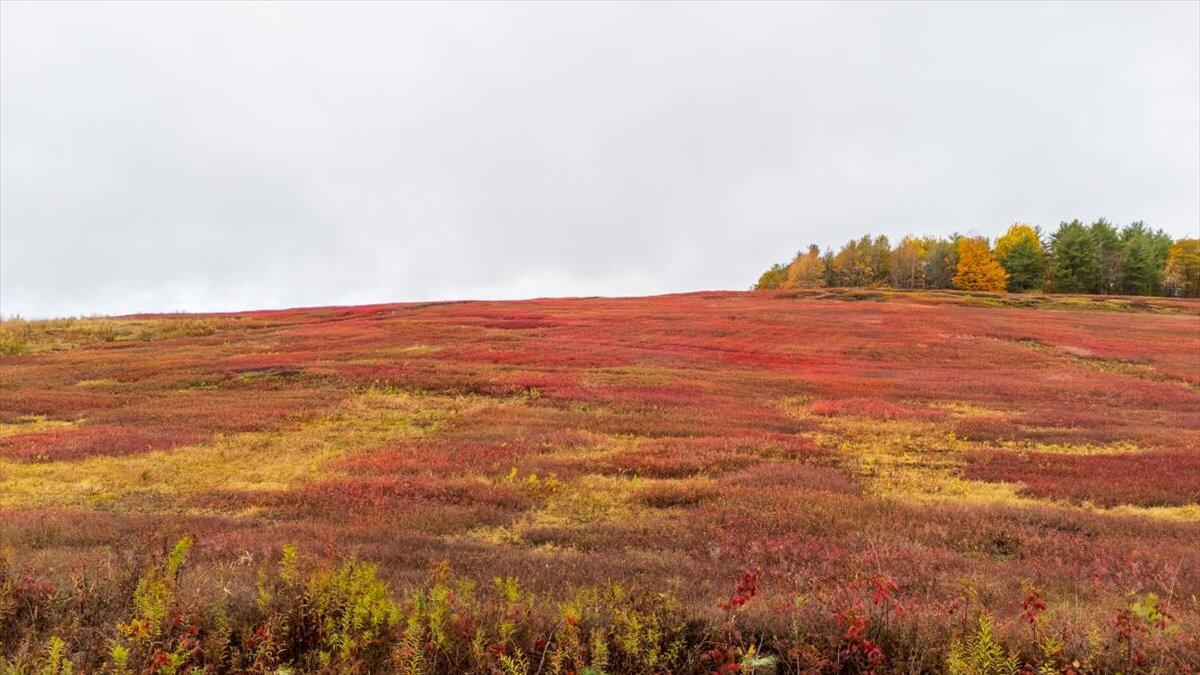 1490 Parmenter Road Palermo, ME 04354 - Photo 3 of 20 1490 Parmenter Road, Palermo