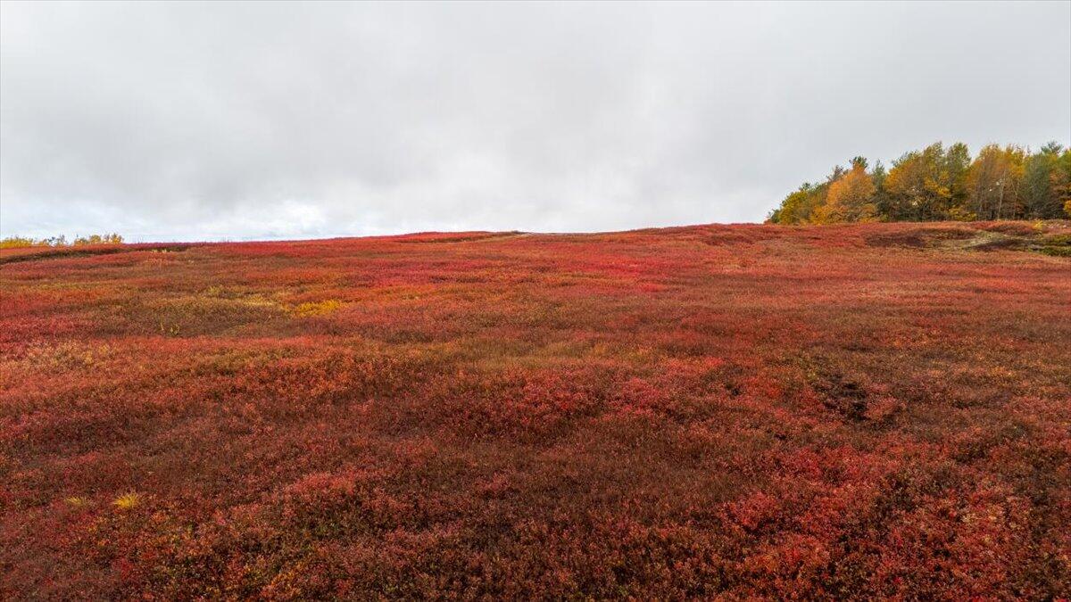 1490 Parmenter Road Palermo, ME 04354 - Photo 5 of 20 1490 Parmenter Road, Palermo