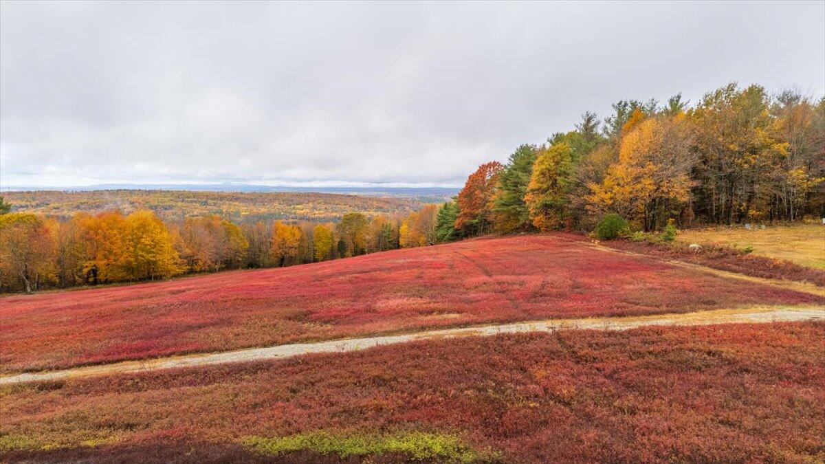 1490 Parmenter Road Palermo, ME 04354 - Photo 7 of 20 1490 Parmenter Road, Palermo