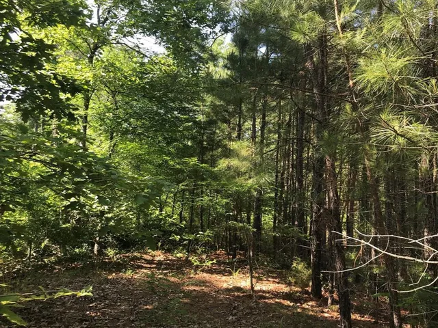 $230,000 | 0 Us 259, Daingerfield, TX 75638