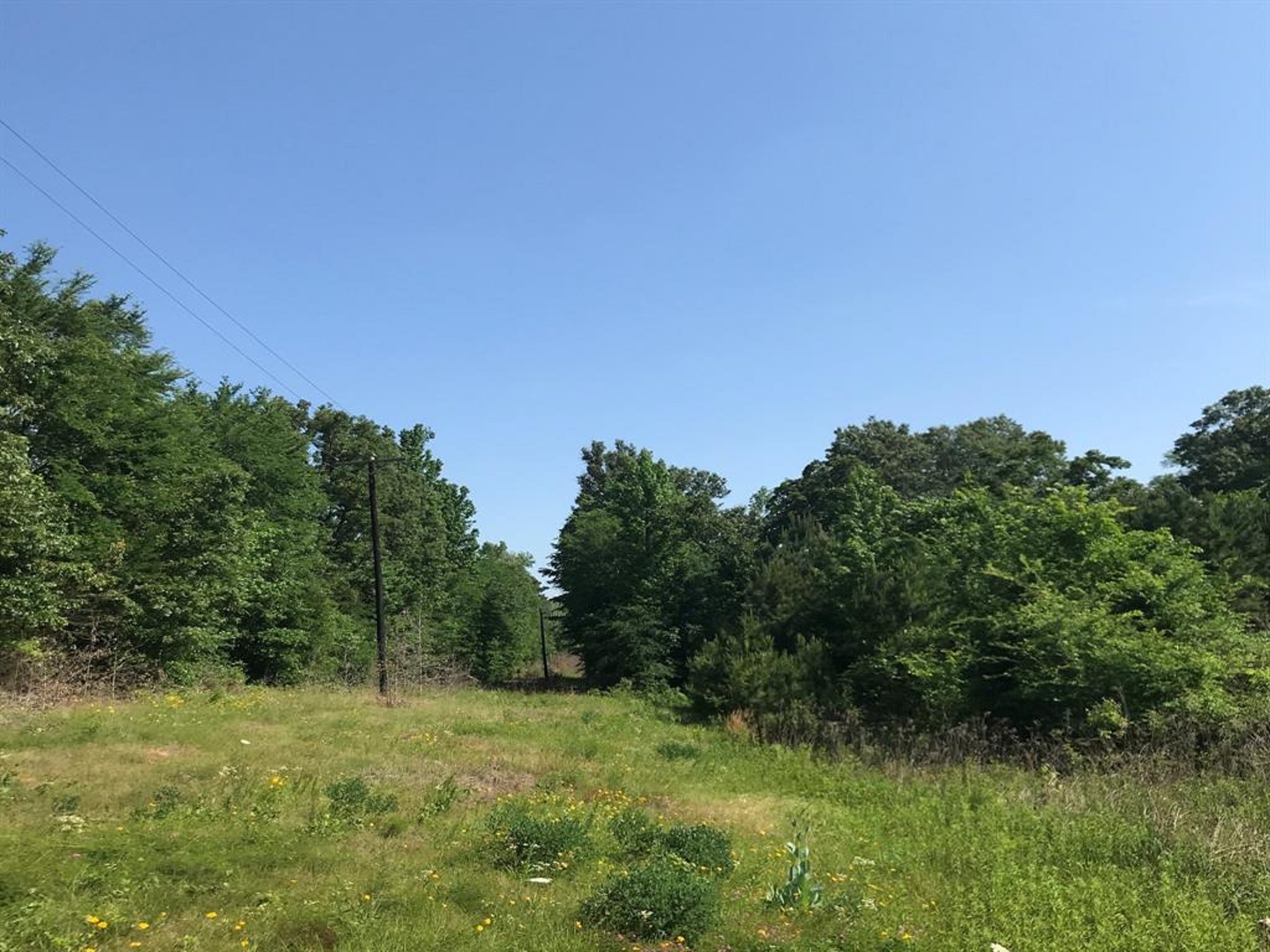 0 South Us Highway Henderson, TX 75654 - Photo 14 of 20