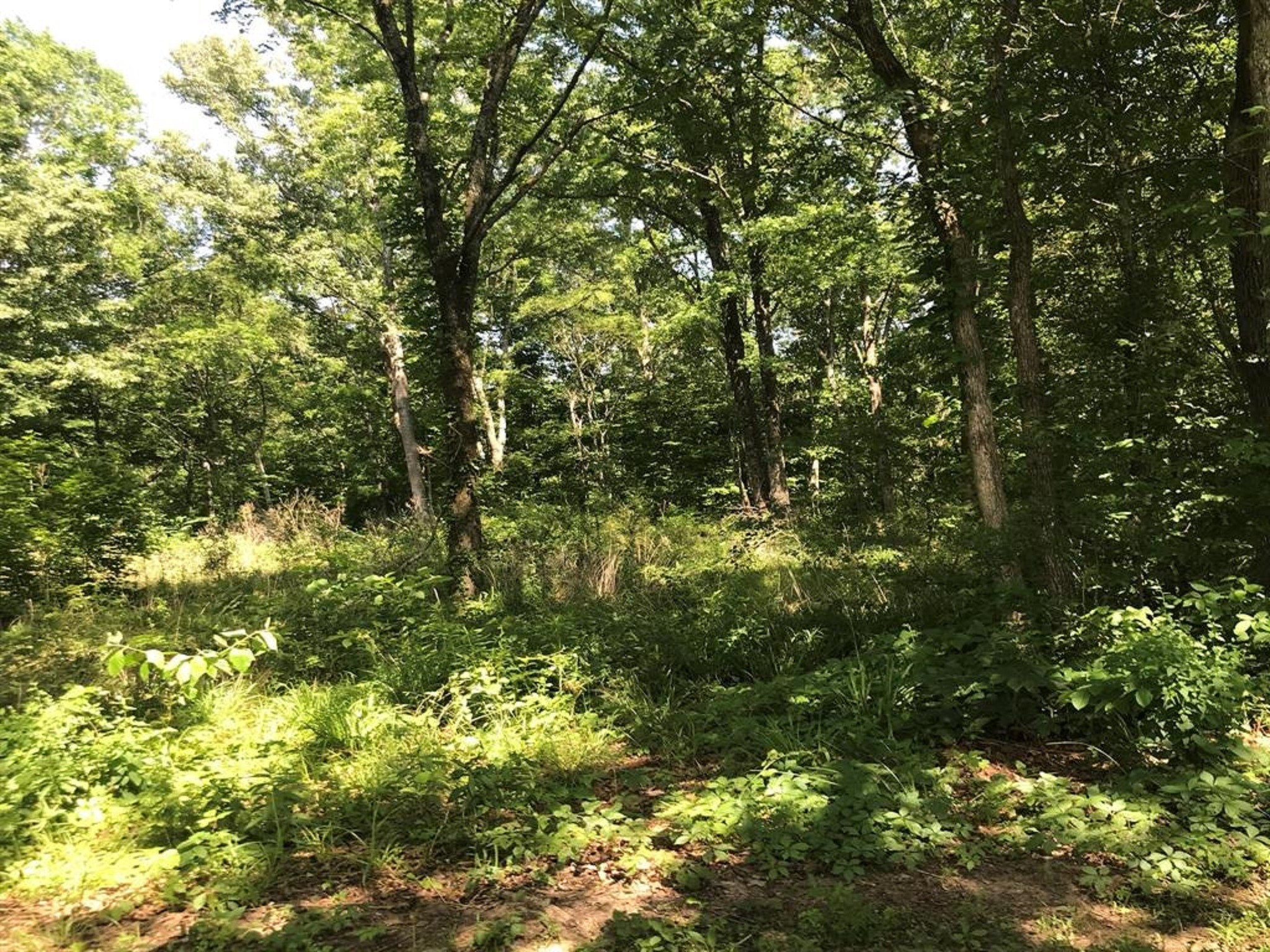 0 South Us Highway Henderson, TX 75654 - Photo 5 of 20