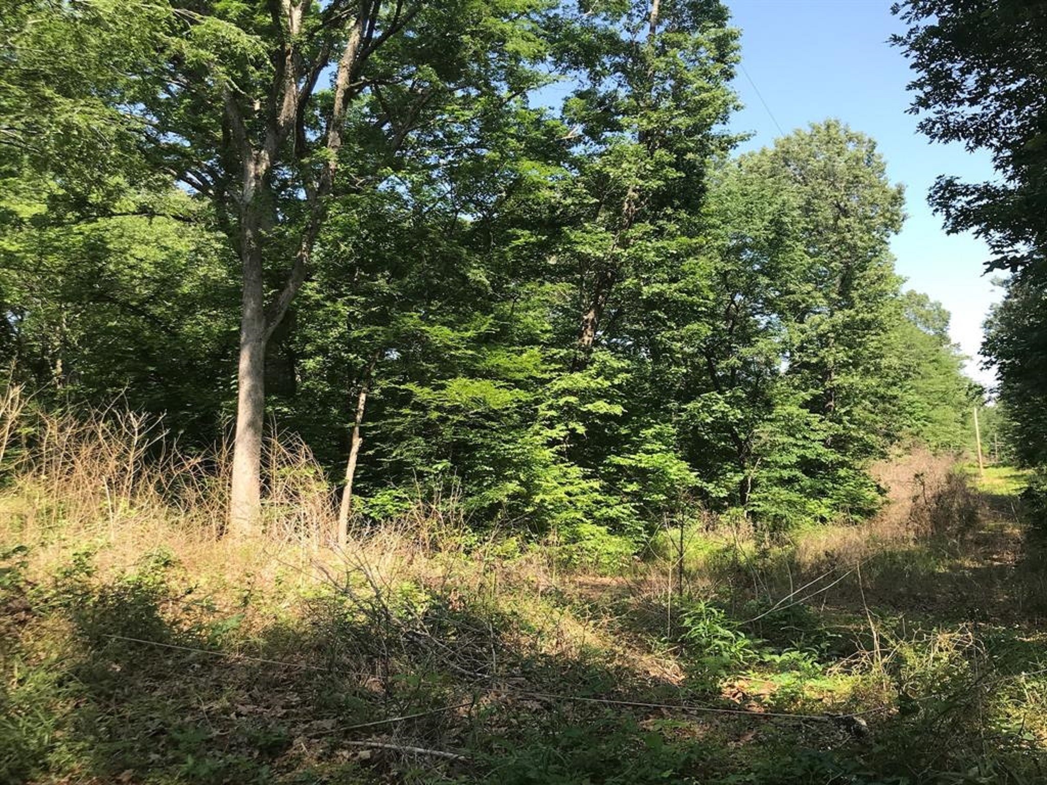 0 South Us Highway Henderson, TX 75654 - Photo 6 of 20