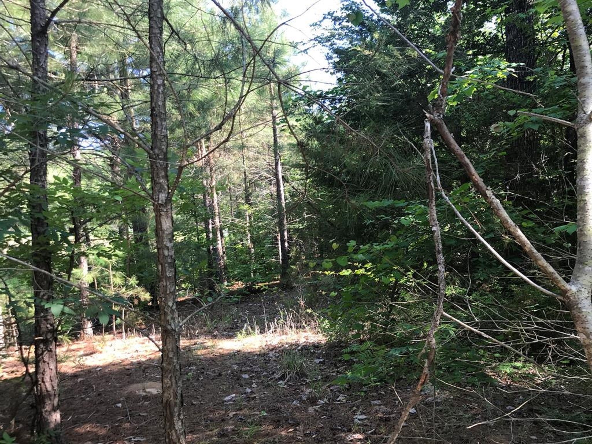 0 South Us Highway Henderson, TX 75654 - Photo 8 of 20