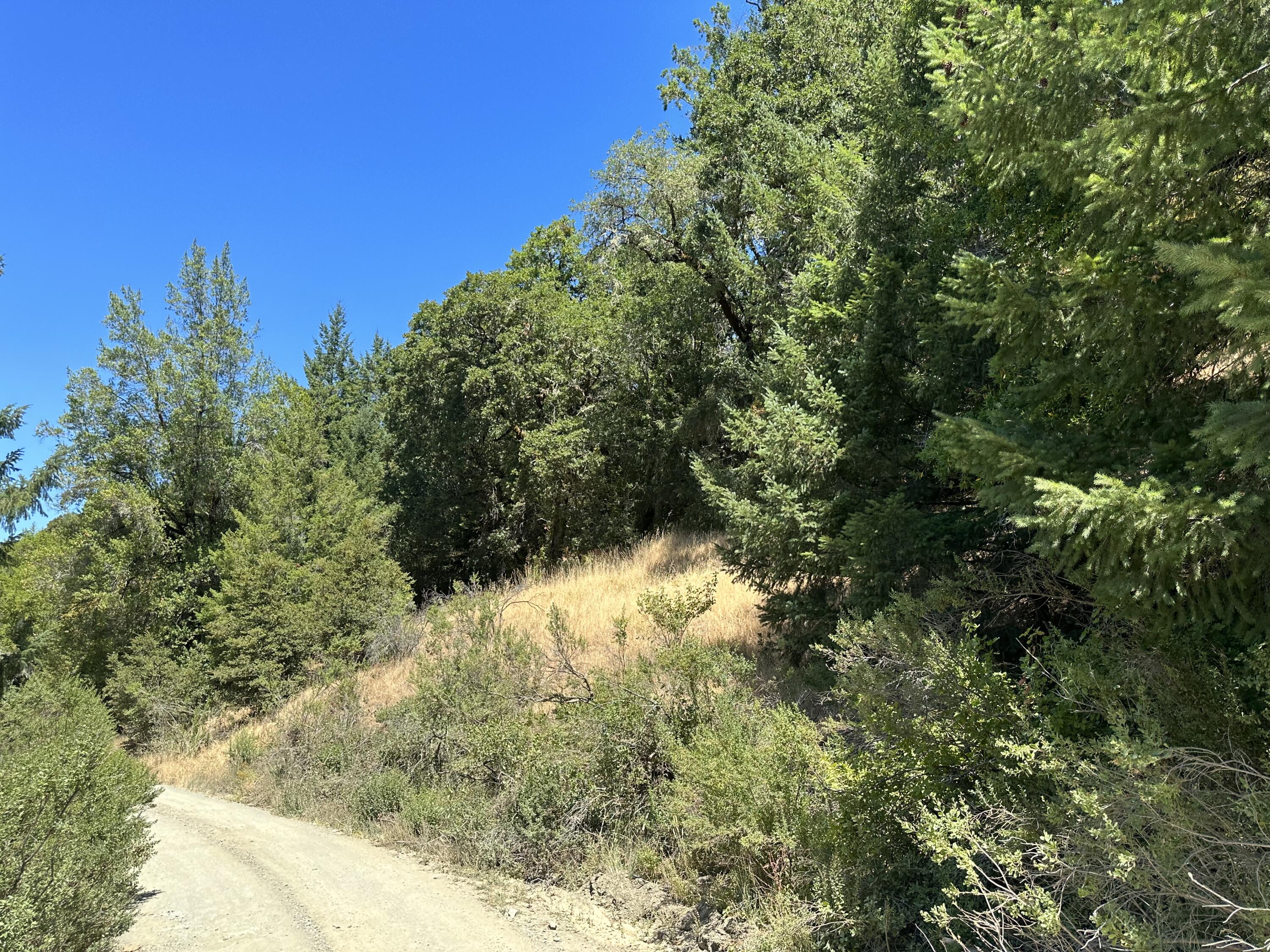 No Address No Address Road Miranda, CA 95553 - Photo 32 of 45