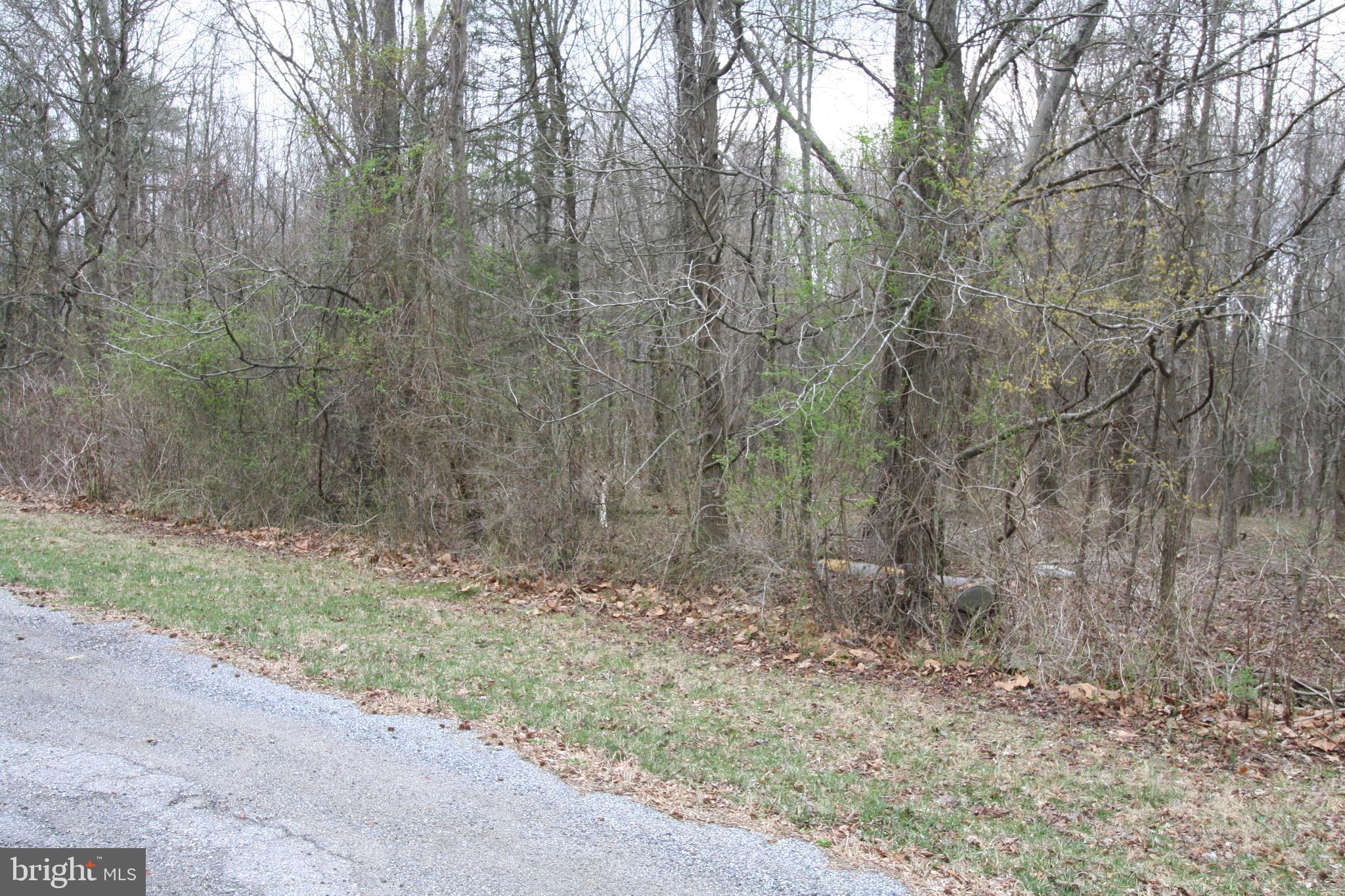 0 Floral Park Road Brandywine, MD 20613 - Photo 2 of 7 a view of backyard with green space