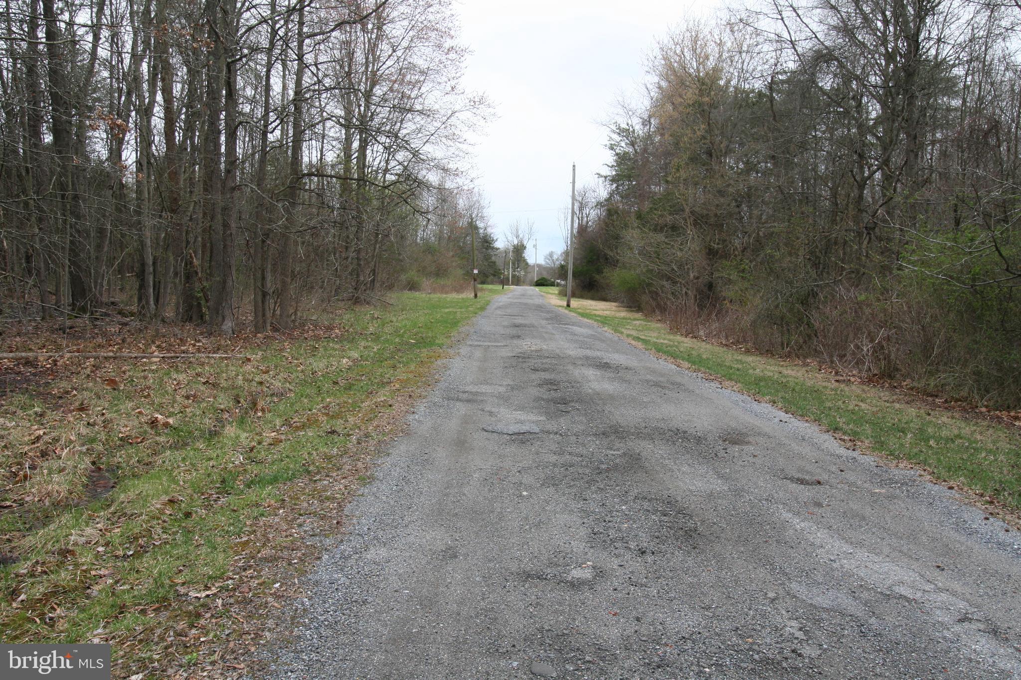 0 Floral Park Road Brandywine, MD 20613 - Photo 5 of 7 a view of a dirt road with trees in the background