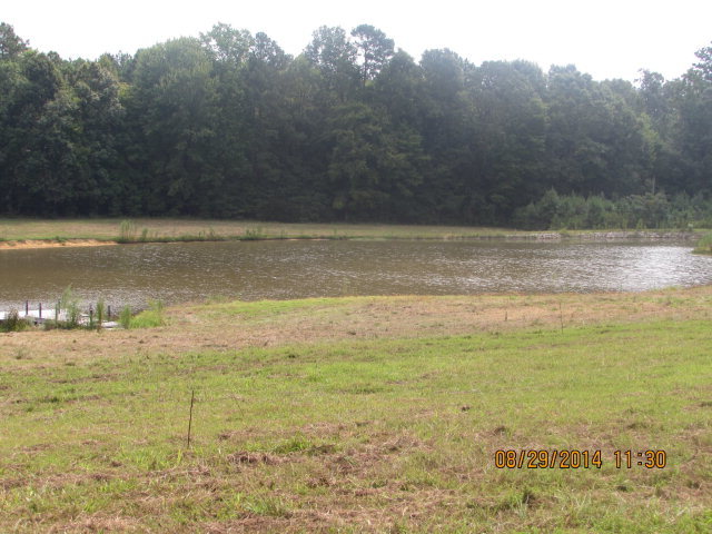 5591 Massey Road Zebulon, NC 27597 - Photo 1 of 10 Primary Photo