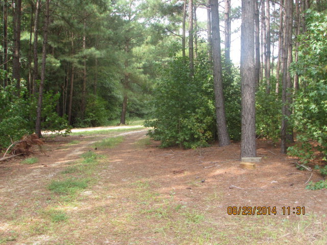 5591 Massey Road Zebulon, NC 27597 - Photo 3 of 10 Additional Photo