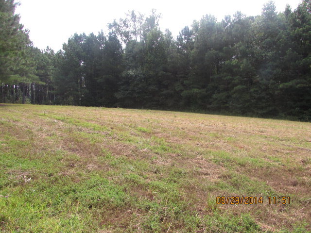 5591 Massey Road Zebulon, NC 27597 - Photo 6 of 10 Additional Photo