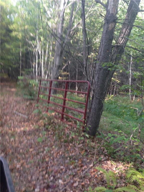 0 Estes Road Bryant Pond, ME 04219 - Photo 4 of 16 Photo