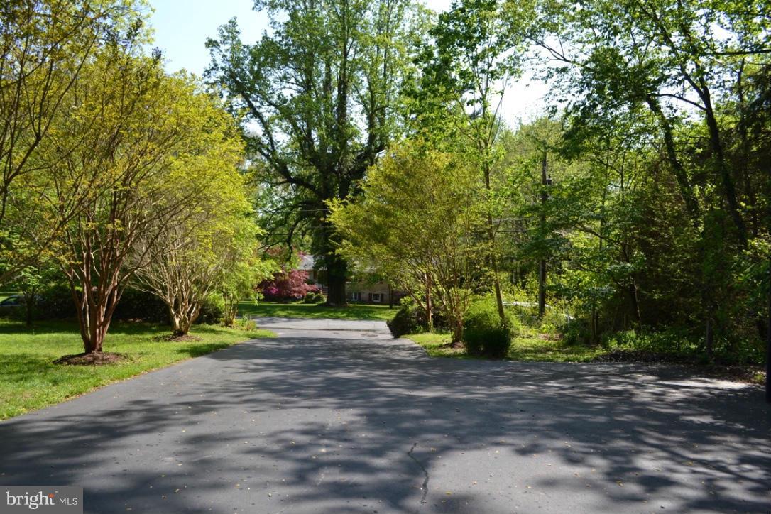 2141 Marymont Road Silver Spring, MD 20906 - Photo 22 of 30 Huge driveway
